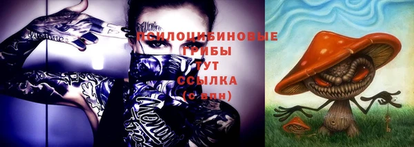 бошки Гусиноозёрск