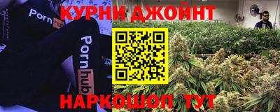 сатива Бийск