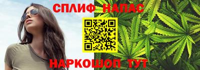 СК Будённовск