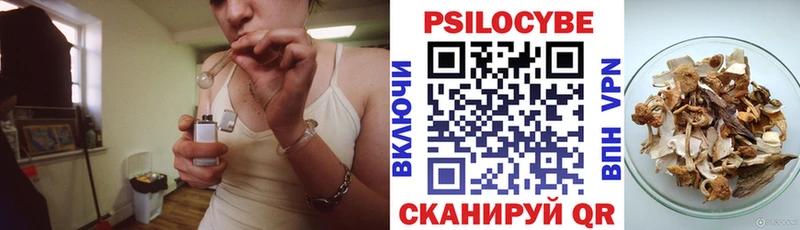 Галлюциногенные грибы мицелий  Елизово 