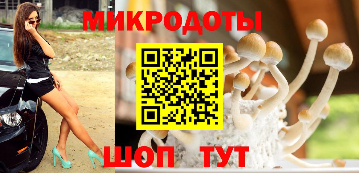 Елизово  Галлюциногенные грибы мухоморы  Вход с VPN 