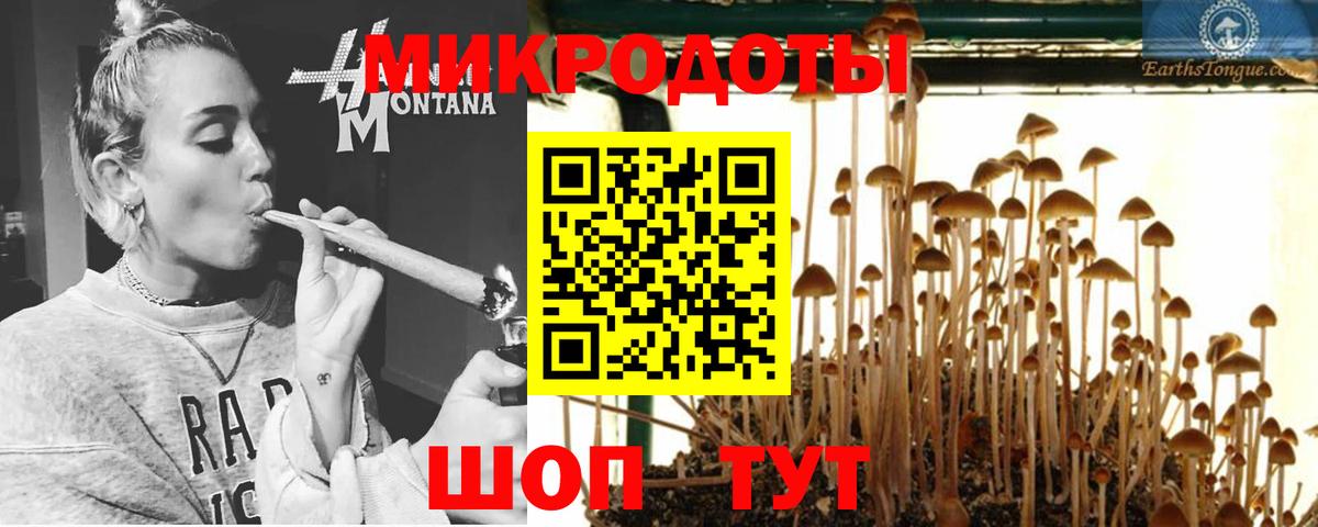 Галлюциногенные грибы Magic Shrooms  Елизово 